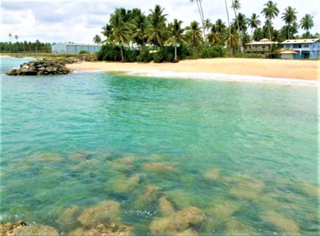 Sea Shell Villa Hikkaduwa 2 Separate Cabanas Ocean Front Villa מראה חיצוני תמונה