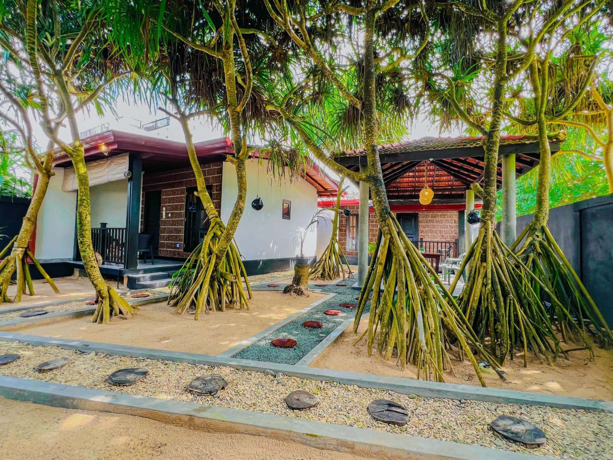 Sea Shell Villa Hikkaduwa 2 Separate Cabanas Ocean Front Villa מראה חיצוני תמונה